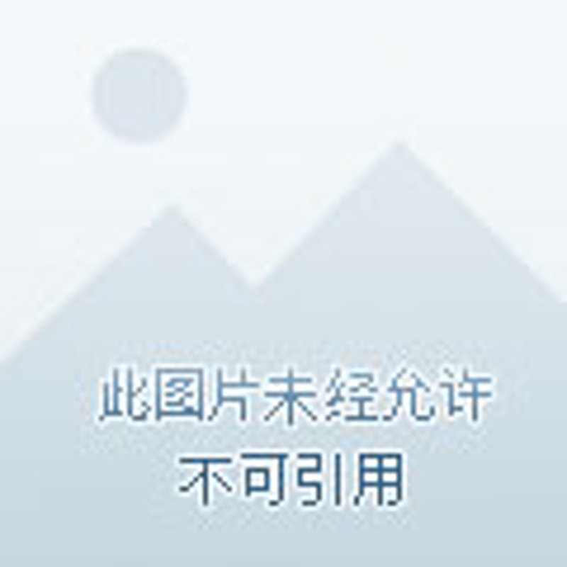 糖画：传统手工艺的现代演绎